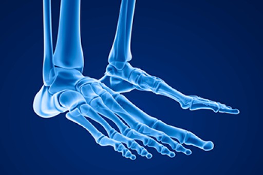 The Importance of Biomechanics in Podiatry