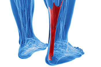 achilles tendon treatment in the Nassau County, NY: Long Beach (Freeport, Oceanside, Rockville Centre, Merrick, Lynbrook, Woodmere, Bellmore, Roslyn) and Williston Park (Hempstead, Levittown, Elmont, Uniondale, Garden City, Mineola) areas